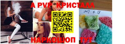 стаф Кинель