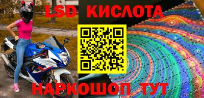 стаф Кинель