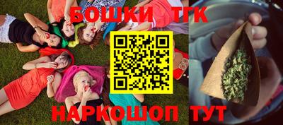 крисы Кингисепп