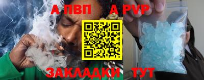 крисы Кингисепп