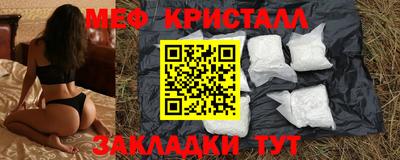 крисы Кингисепп