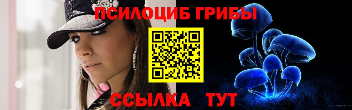 Псилоцибиновые грибы ЛСД Азов