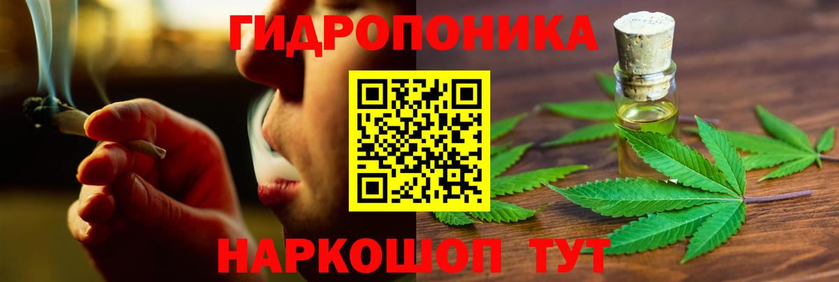 Шишки марихуана план  Вход с VPN  Азов  Бошки Шишки конопля  Марихуана сатива 